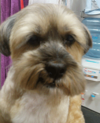 �~�b�N�X���g���~���O�摜9