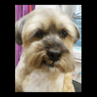 �g���~���O�摜�~�b�N�X��9