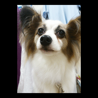 �g���~���O�摜�p�s����5