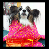 �g���~���O�摜�p�s����6