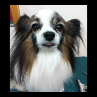 �g���~���O�摜�p�s����7