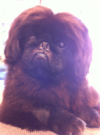 �y�L�j�[�Y�g���~���O�摜2