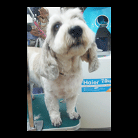 �g���~���O�摜�v�`�o�Z�b�g2