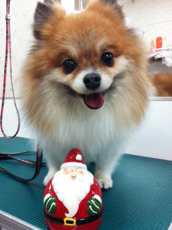 �|�����j�A���g���~���O�摜1