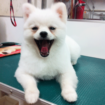 �|�����j�A���g���~���O�摜10