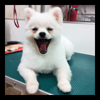 �g���~���O�摜�|�����j�A��10