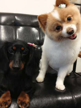 �|�����j�A���g���~���O�摜11