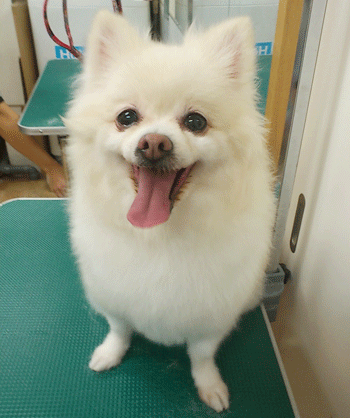 �|�����j�A���g���~���O�摜2