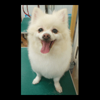 �g���~���O�摜�|�����j�A��2