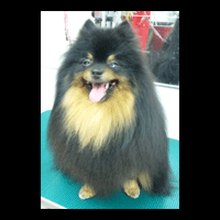 �g���~���O�摜�|�����j�A��3