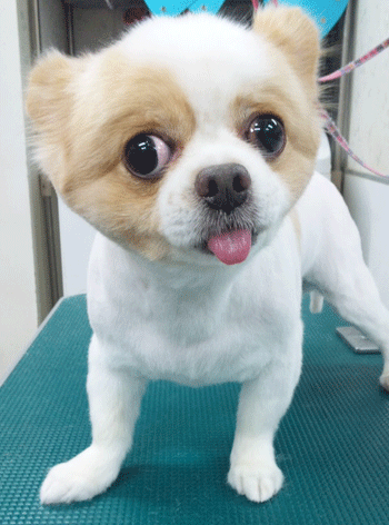 �|�����j�A���g���~���O�摜4