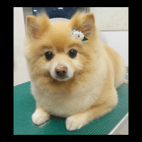 �g���~���O�摜�|�����j�A��5