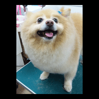 �g���~���O�摜�|�����j�A��6