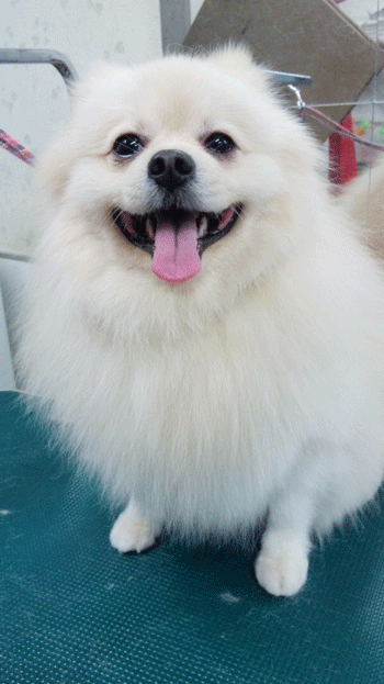 �|�����j�A���g���~���O�摜7