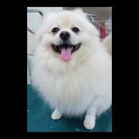 �g���~���O�摜�|�����j�A��7