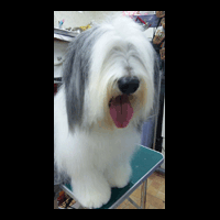 �g���~���O�摜�|�[���b�V�����[�����h�V�[�v�h�b�O1