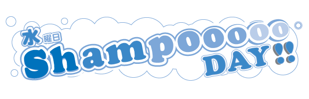 �V�����v�[DAY�摜2