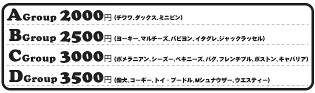 �V�����v�[�������i�摜2