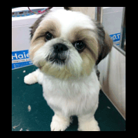 �g���~���O�摜�V�[�Y�[1