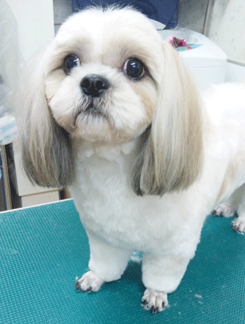 �V�[�Y�[�g���~���O�摜10