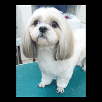 �g���~���O�摜�V�[�Y�[10