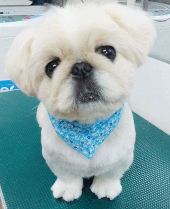 �V�[�Y�[�g���~���O�摜12