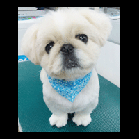 �g���~���O�摜�V�[�Y�[12