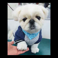 �g���~���O�摜�V�[�Y�[13