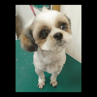 �g���~���O�摜�V�[�Y�[3