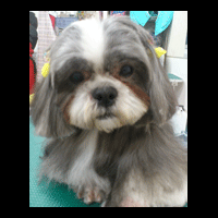 �g���~���O�摜�V�[�Y�[5