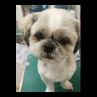 �g���~���O�摜�V�[�Y�[6