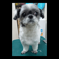 �g���~���O�摜�V�[�Y�[7