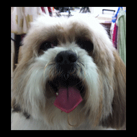 �g���~���O�摜�V�[�Y�[8