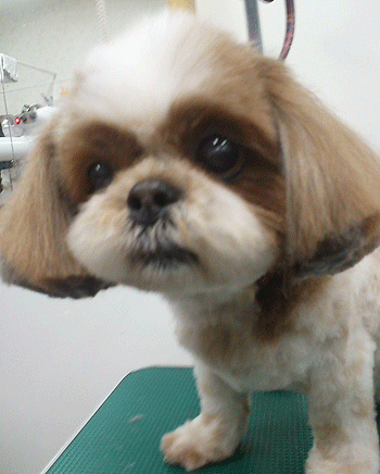 �V�[�Y�[�g���~���O�摜9