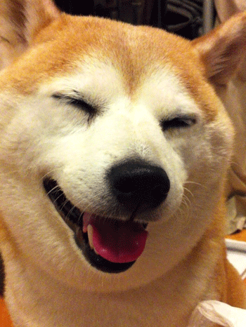 �Č��g���~���O�摜1