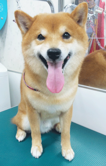 �Č��g���~���O�摜10