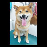 �g���~���O�摜�Č�10