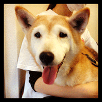 �g���~���O�摜�Č�12