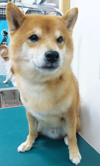 �Č��g���~���O�摜2