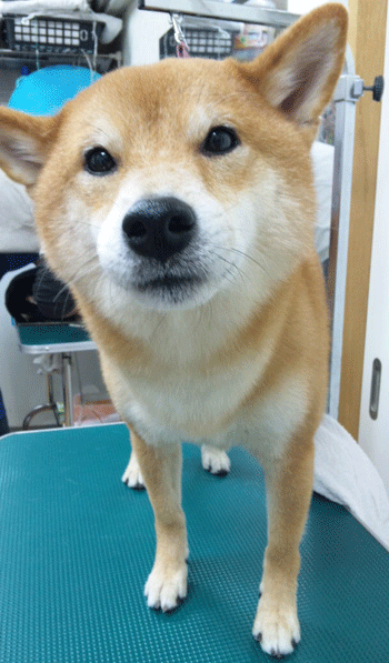 �Č��g���~���O�摜3