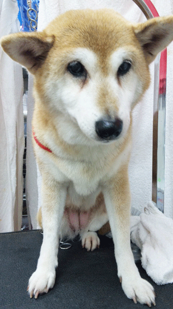 �Č��g���~���O�摜4