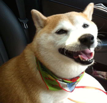 �Č��g���~���O�摜5