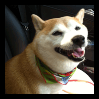 �g���~���O�摜�Č�5