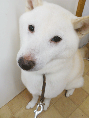 �Č��g���~���O�摜6