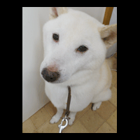 �g���~���O�摜�Č�6