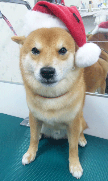 �Č��g���~���O�摜7