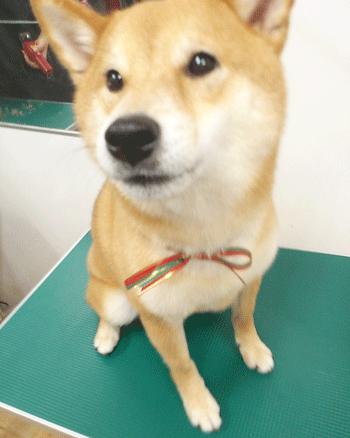 �Č��g���~���O�摜8