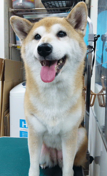 �Č��g���~���O�摜9