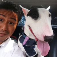 staff�Љ�/�����L���h�b�Oimg�摜2-2