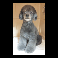 �g���~���O�摜�g�C�v�[�h��11